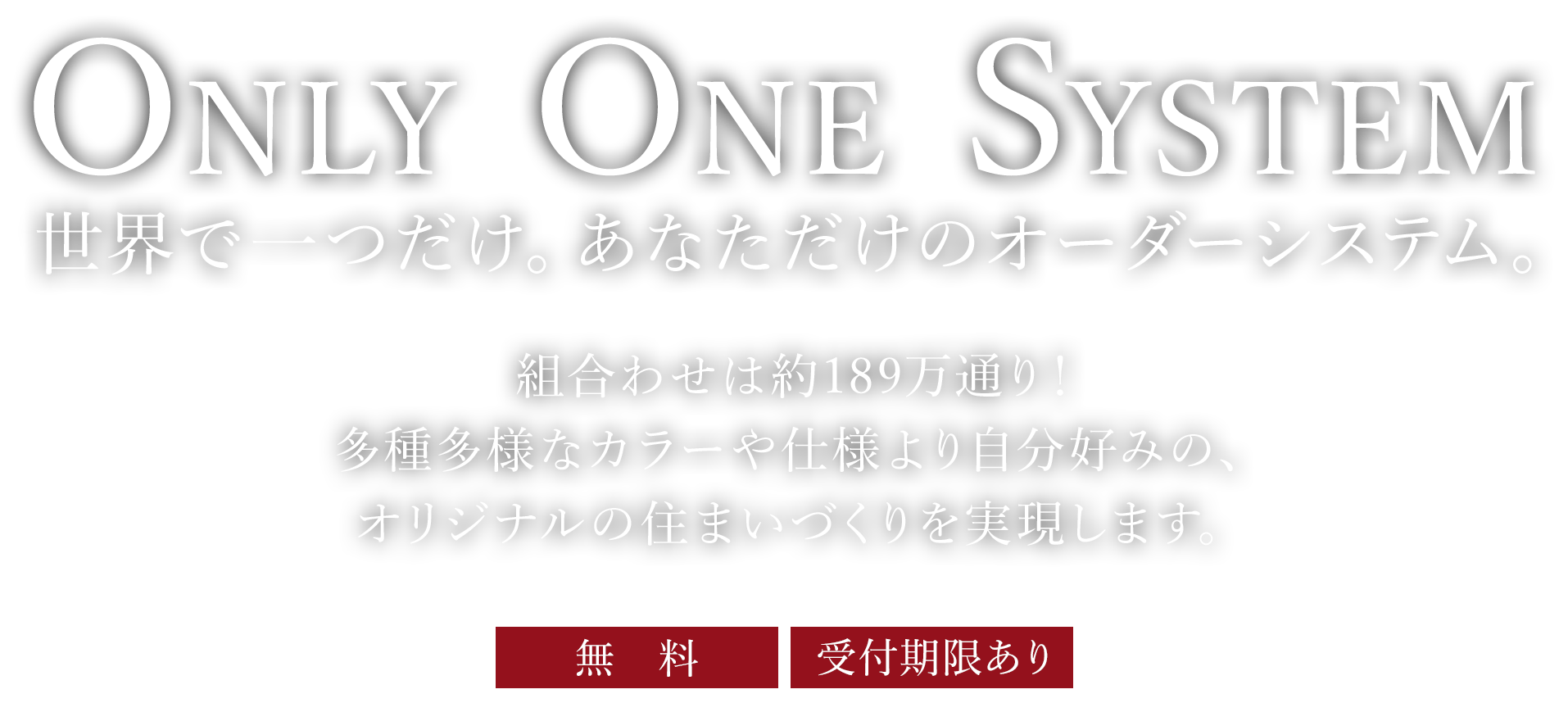 ONLY ONE SYSTEM 世界にひとつだけ、あなただけのオーダーシステム
